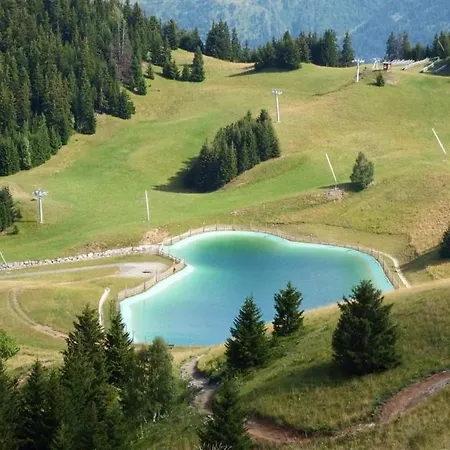 Les Iris T2 Station Alpe Huez Auris