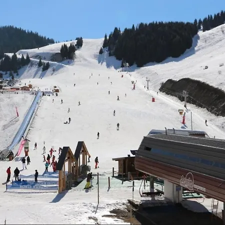 Les Iris T2 Station Alpe Huez * Auris